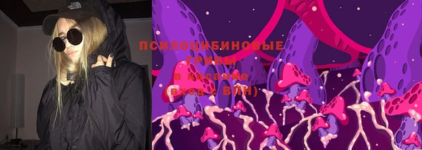 PSILOCYBIN Арсеньев
