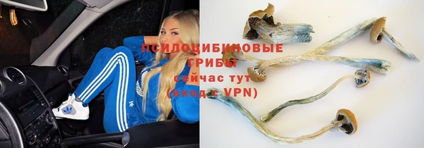 дмт Армянск