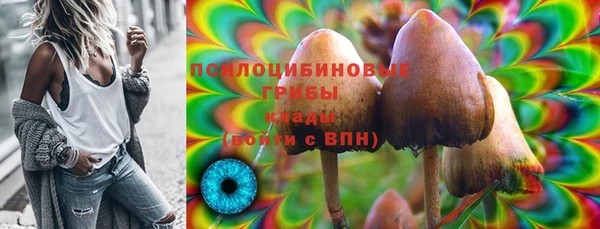 дмт Армянск