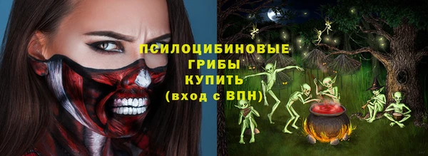 PSILOCYBIN Арсеньев