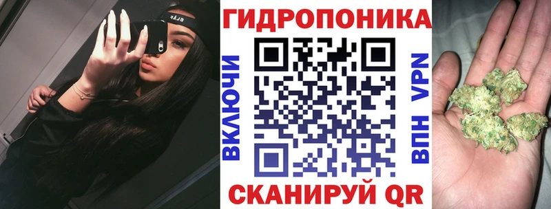Каннабис THC 21%  Купить где  Дивногорск 